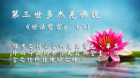 Bamboo and water lily reflected in a serenity pool