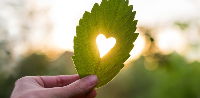 寬容與善待，教會孩子行善了嗎？