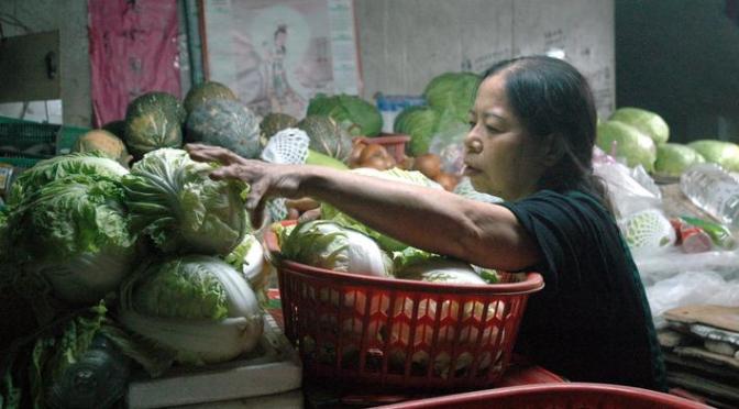 小人物行善故事〜樹菊阿嬤慈善家