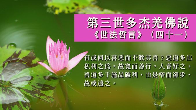 Worldlawphilosophystatementp41