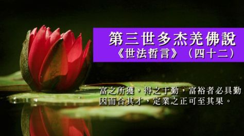 Worldlawphilosophystatementp42