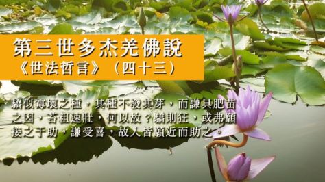 Worldlawphilosophystatementp43