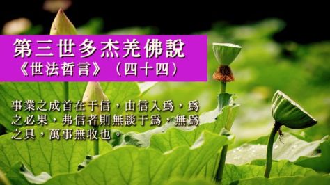 Worldlawphilosophystatementp44