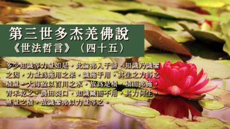 Worldlawphilosophystatementp45