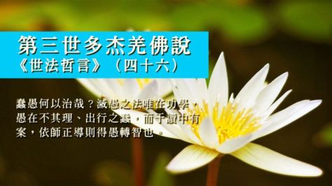 Worldlawphilosophystatementp46