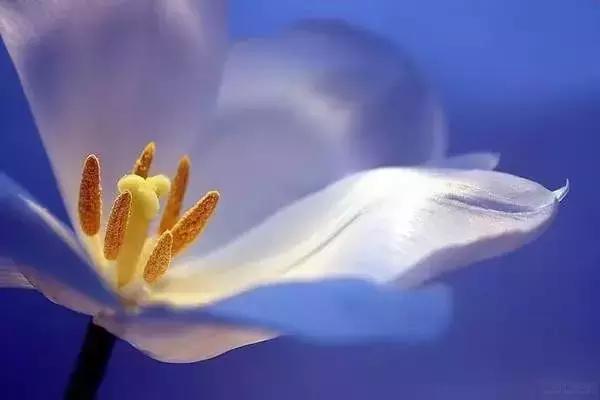 因為善良，所以幸福