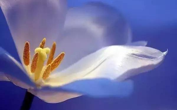 善良，一生的幸福之道