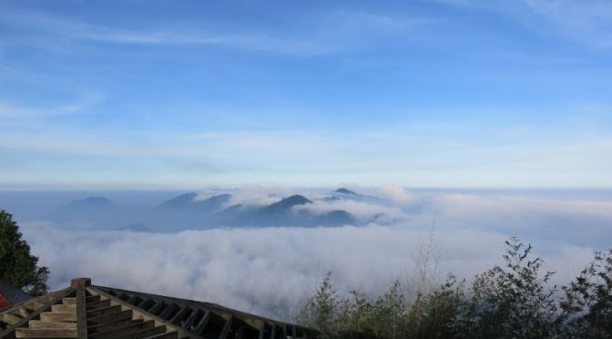 天上天下無如佛 ——從「遇佛節」說起