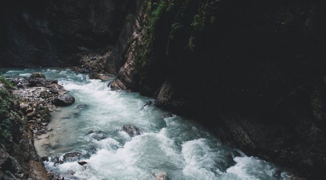 拿什麼來抵禦人生中可怕的苦難