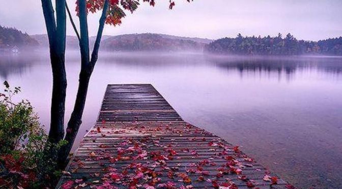 23人全部遇難，唯獨他神奇活下來，原因你絕對想不到