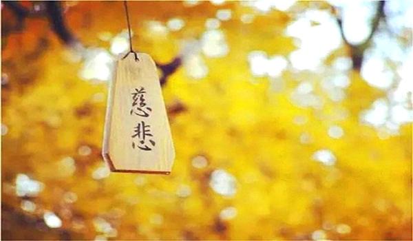 行善故事～成功不是偶然的，因為具備了善根和慈悲心