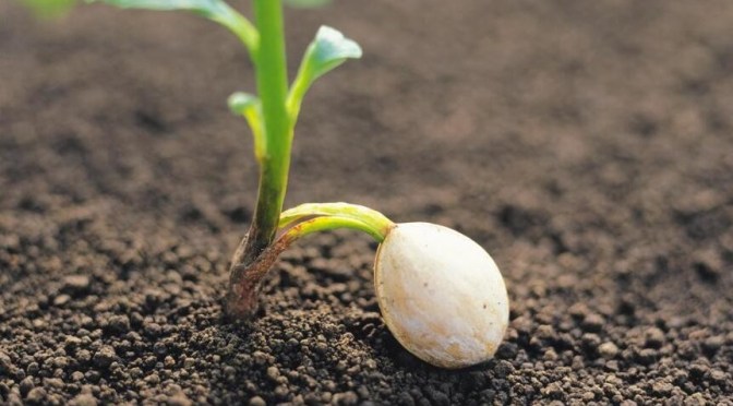 心靈啟發-品格教育ppt分享，行善從小開始培養