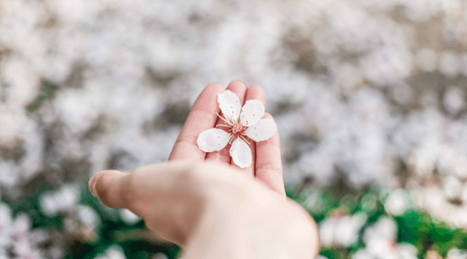 福報真是命中註定的嗎？