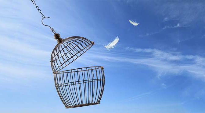 丟掉心靈上的鳥籠