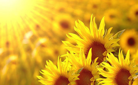 神通再大也敵不過業力，有一種“寶貝”能敵業力，你有嗎？