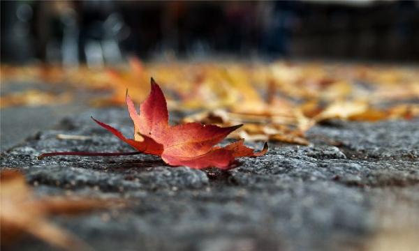 又一大明星驟然離世引發的深思……