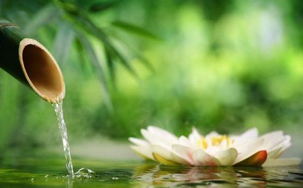 今生所經歷的一切都是因果緣生的必然，沒有一人一事一物是偶然相遇