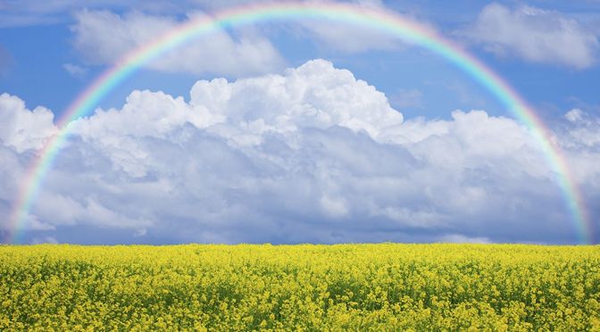 一個倒楣蛋、亞健康的弱女子學佛後的嶄新人生