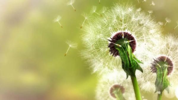 從西遊記裡學習生活的智慧，如果有所領悟一定大有裨益