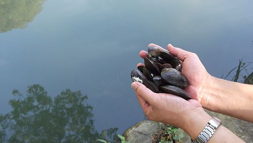 放生的意義與功德