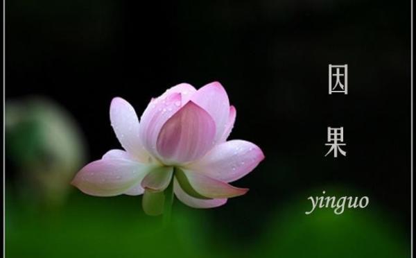 若要人不知，除非已莫為