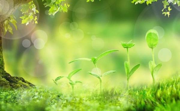 意外之財可以隨便花嗎？